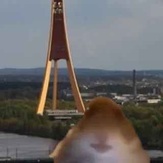 Стикер хомяк @stickermily - 5