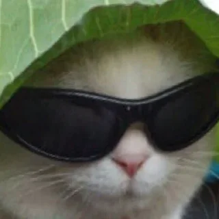 Sticker @raise555 - 4