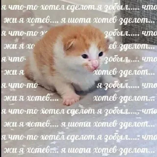 Стикер Писяс @Qfpw13 - 7