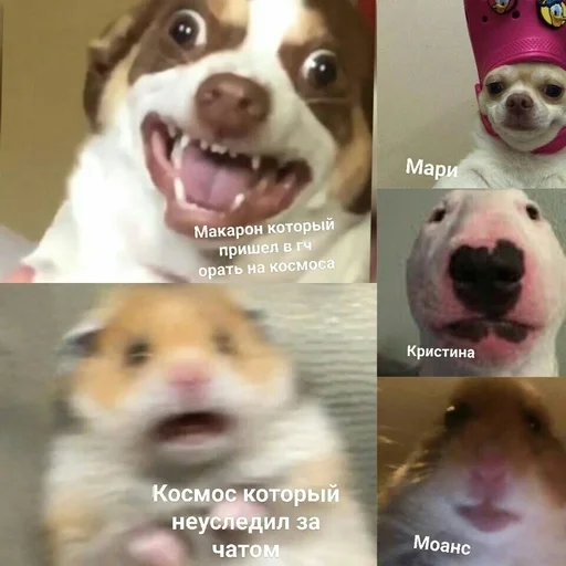 Стикер MITSUMAKICHAT :: @fStikBot - 10