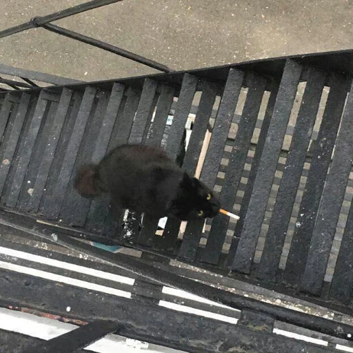 на открытом воздухе забор земля