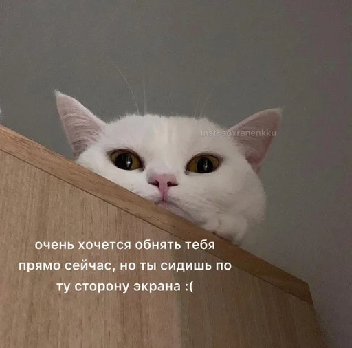 Стикер Мизинец Клауса :: @fStikBot - 11