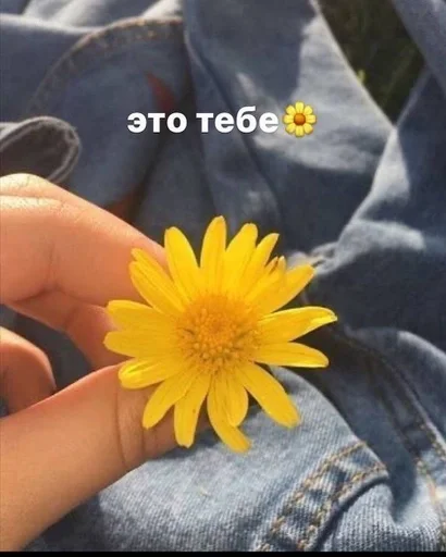 Стикер Мизинец Клауса :: @fStikBot - 2