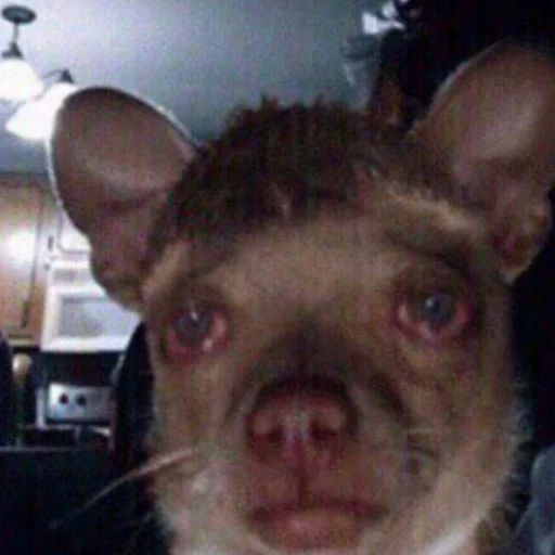 Стикер mjr_shit - 1