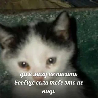 Sticker @emodziy - 5