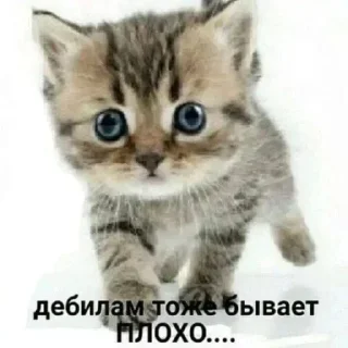 Sticker @emodziy - 10