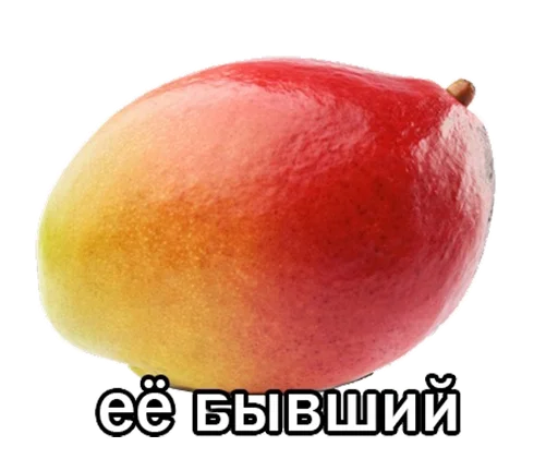 фрукт яблоко пища