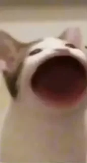 Стикер mlo8r📦 - 7