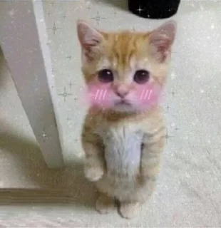 Стикер mlo8r📦 - 10