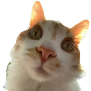 Стикер mma - 0