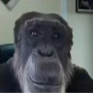 Стикер MMA - 5