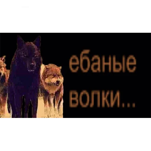 Sticker mnbvcxzzxcvbnmmnbvcxzzxcvbnm - 1