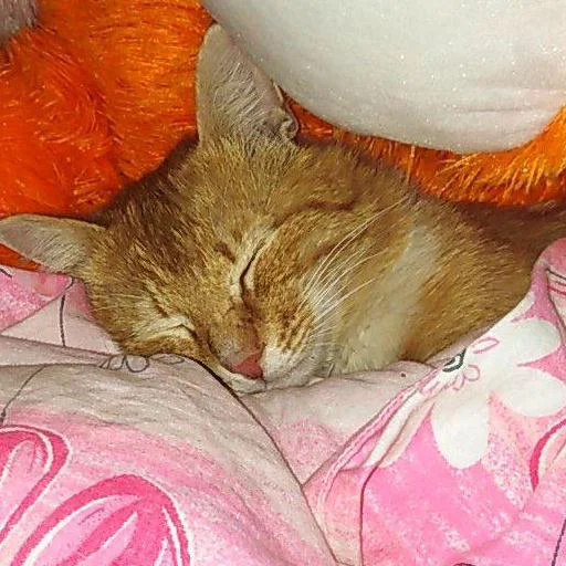 Sticker mnbvcxzzxcvbnmmnbvcxzzxcvbnm - 1