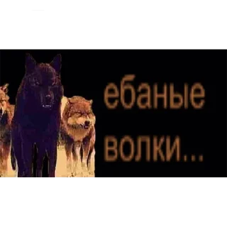 Sticker Shlyapa2.0 @Andronpl - 8