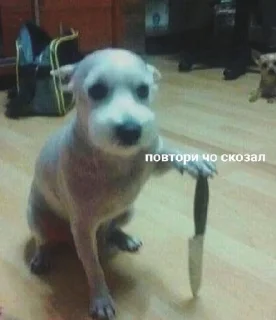 Стикер </3 - 3