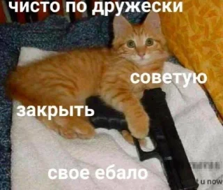 Стикер </3 - 6