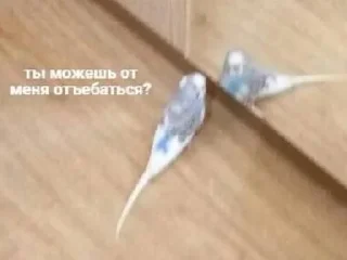 Стикер </3 - 5