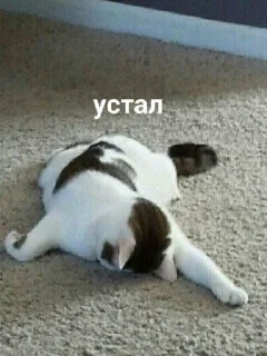 Стикер </3 - 7