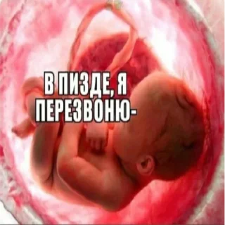 Sticker от автора помоечки Мне похуй я панк - 1