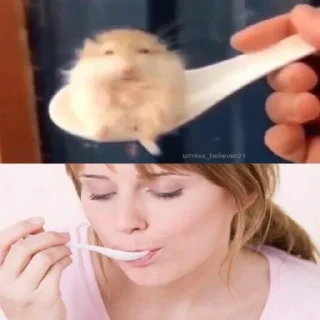 Sticker от автора помоечки Мне похуй я панк - 6