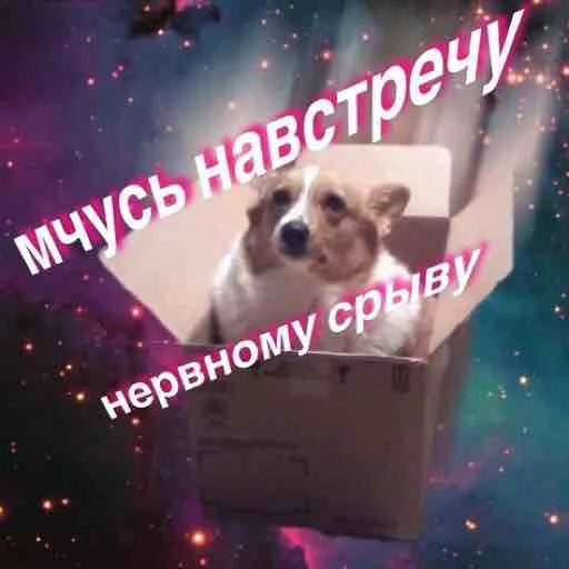 Стикер mneochenpohuy - 1