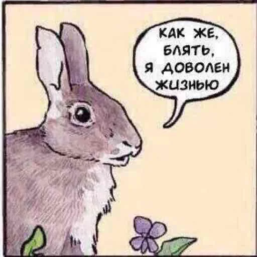 Sticker mneochenpohuy - 1