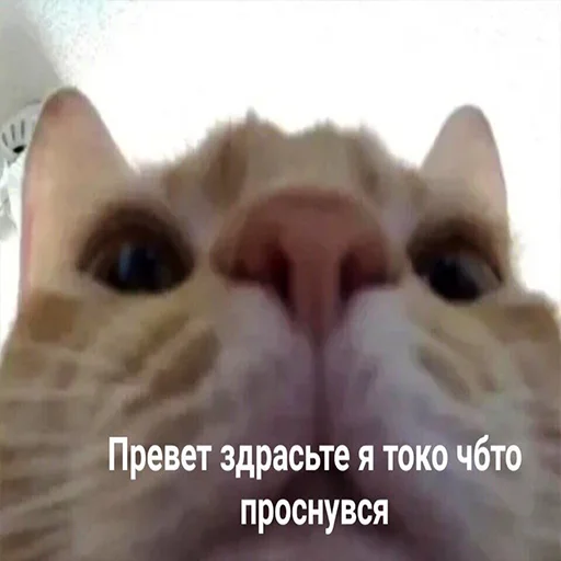 Sticker мне так одиноко( похуй - 11