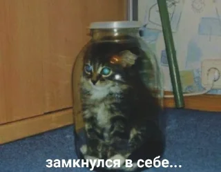 Sticker хуйня - 1