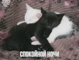 Sticker хуйня - 7