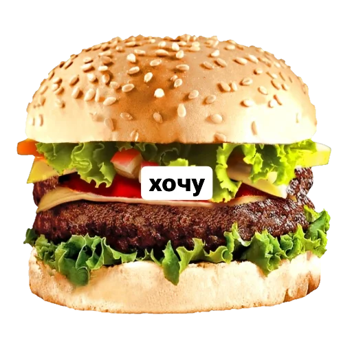 food dish hamburger