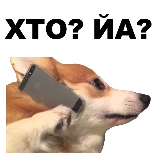 Стикер Mnogo Favorite stickers (maybe) 💁🏼‍♂️ by @fStikBot - 10