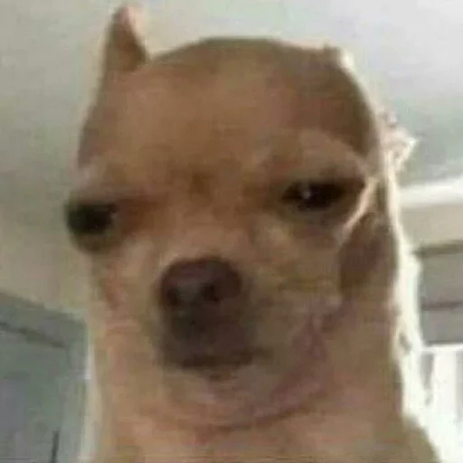 Стикер Mnogo Favorite stickers (maybe) 💁🏼‍♂️ by @fStikBot - 9