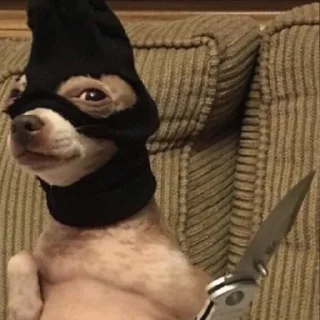 Sticker шишка - 3