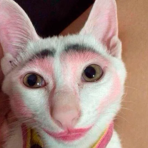 Стикер ЭтоМойНабор - 10