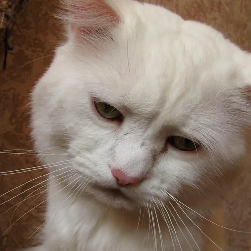 Стикер ЭтоМойНабор - 8