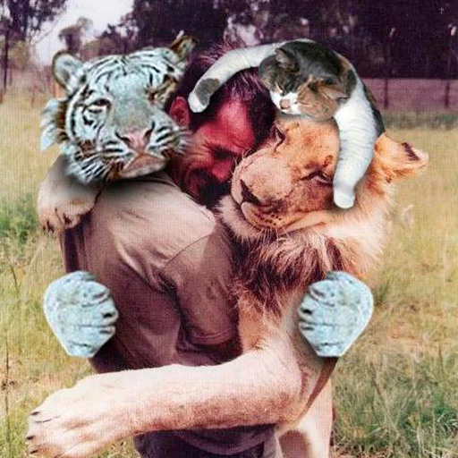 Стикер ЭтоМойНабор - 0