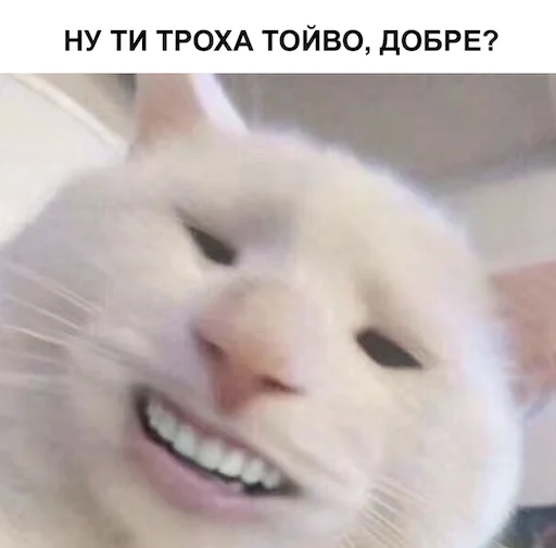 @mojaFosa налїпки - 