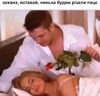 Sticker @mojaFosa налїпки - 9