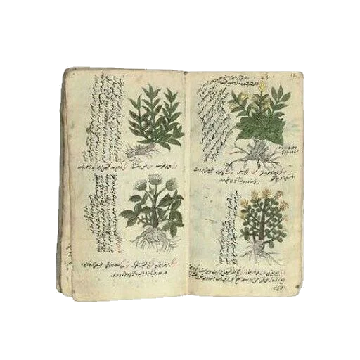 Sticker mokryy_asphalt - 1