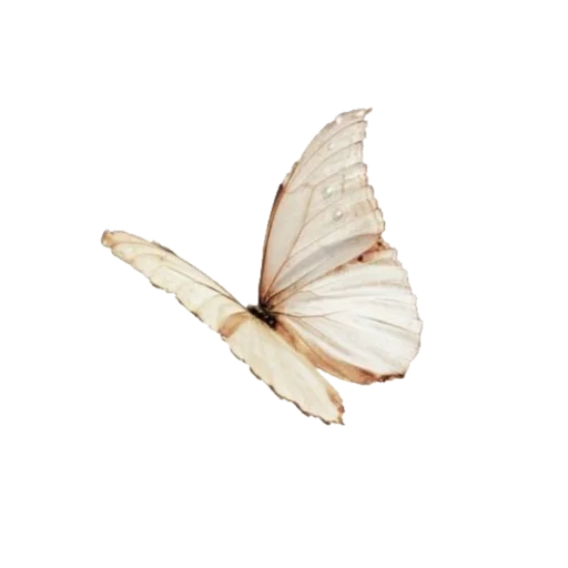 Sticker mokryy_asphalt - 1