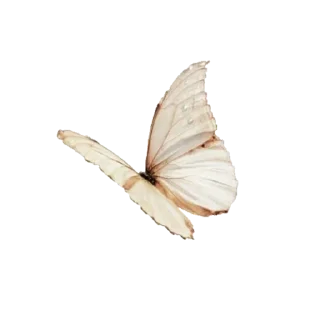 Sticker @mokryy_asphalt - 4