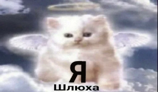 Стикер momeve_by_fStikBot - 1