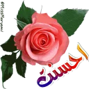 Стикер monasebat - 6