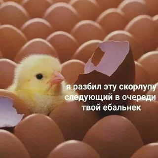 Стикер Психушка имени монашки - 7