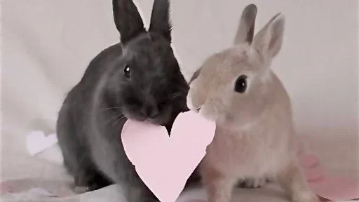 Стикер moncheerrry2_by_SozdaiStickeriBot - 1