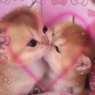 Стикер moncherry2 @SozdaiStickeriBot - 11