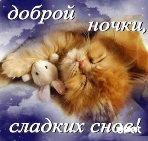 Стикер Стикеры от президента - 5