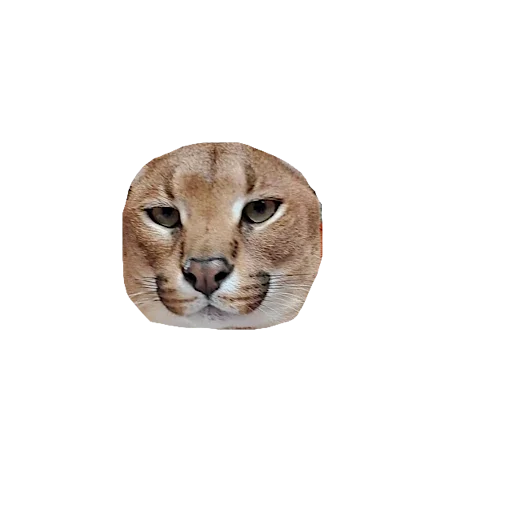 Стикер хуйтаждика - 4