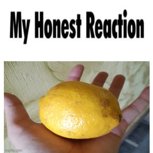 my honest mongolian reaction - 