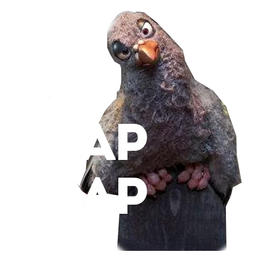 Sticker mongrelspack - 1